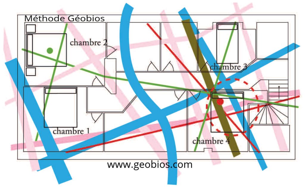Plan d'une expertise géobiologique Exemple de plan mettant en évidence les perturbations détectées lors d'une expertise